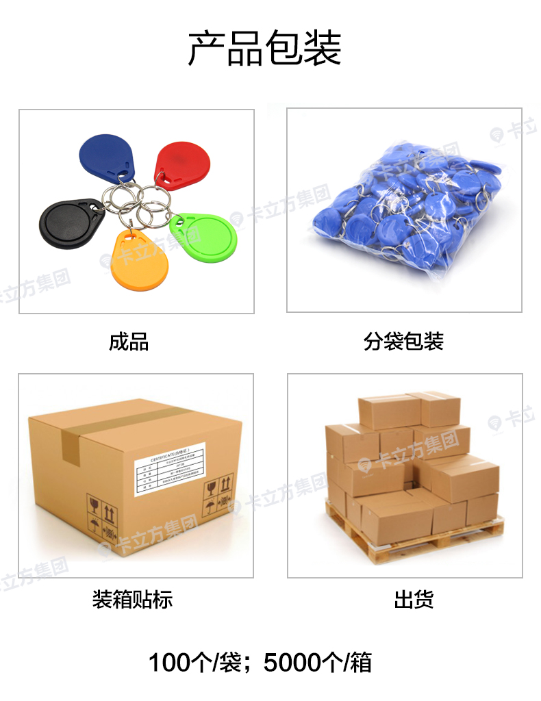 3號(hào)T5577鑰匙扣11